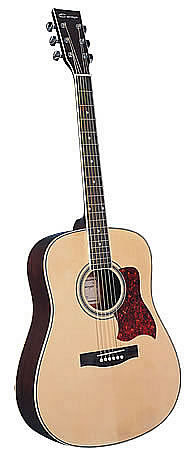 Акустическая гитара Veston F-660N