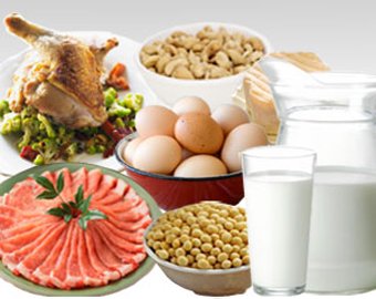 белковое питание для похудения 